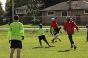 OTFL Gallery Image